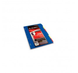 SEPARADOR RHEIN VINIL 6 DIVISIONES OFICIO (X1)